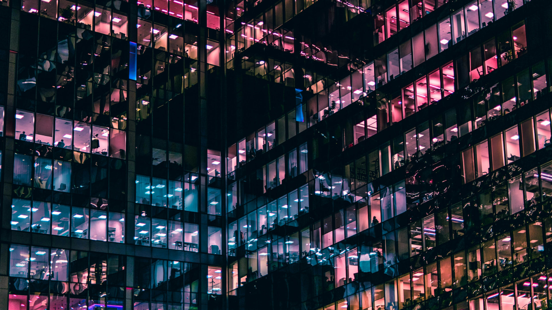 Illuminated office windows at night, representing people behind every business